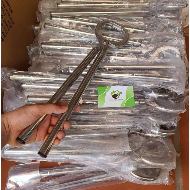 Kìm bấm vòng mũi trâu bò Inox siêu bền