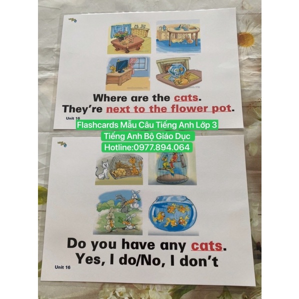 Combo Flashcard  Mẫu Câu Lớp 1-2-3-4-5