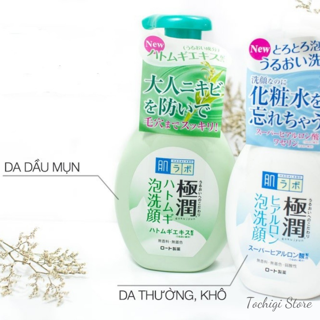 Sữa rửa mặt tạo bọt Hada Labo Nhật Bản | Thế Giới Skin Care