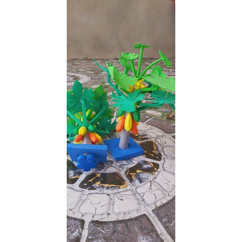 Cây ăn quả mầm non