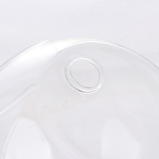 Bể Cá mini Treo Tường Trang Trí Nhà Cửa