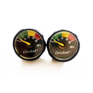 Đồng hồ áp suất 40MPa