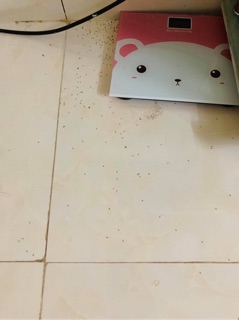 Mật      🐜🪳