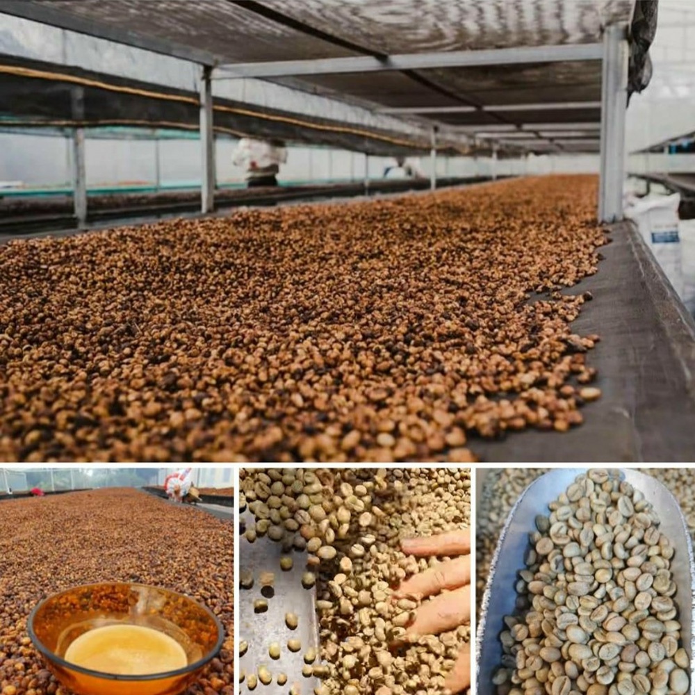 Cà phê rang xay nguyên chất pha phin - 20% Arabica Cầu Đất + 80% Robusta Honey Buôn Ma Thuột | BigBuy360 - bigbuy360.vn
