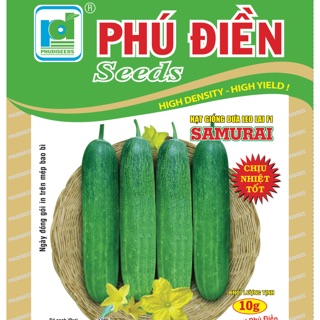 Hạt giống dưa leo chịu nhiệt F1 Samurai