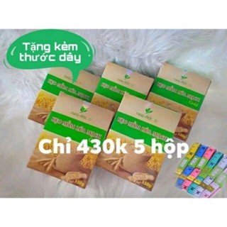 Combo 5 hộp kẹo mầm lúa mạch gold thảo mộc 37