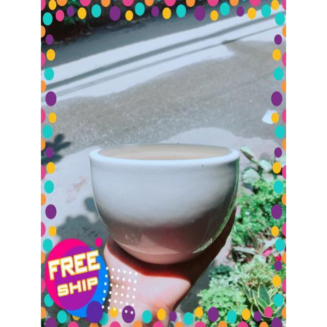 Nhất Mạc Hương  kèm chậu sứ