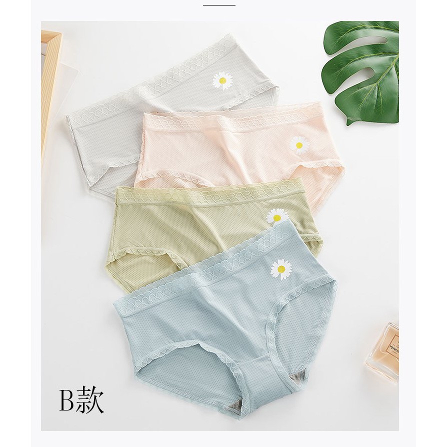 Quần Lót Nữ Su Đúc Thông Hơi Hoa Cúc Kháng Khuẩn Túi Zip Riêng Biệt - Quần Lót Nữ AirBra Kháng Khuẩn | BigBuy360 - bigbuy360.vn