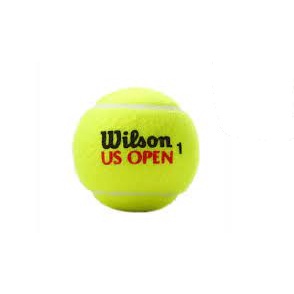 Hộp Bóng TENNIS WILSON
