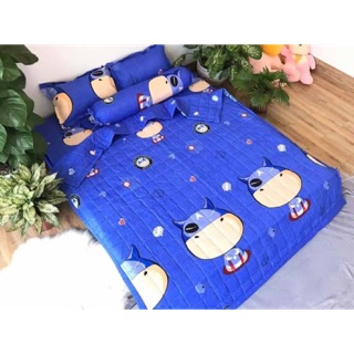 Set bộ 5 món chăn ga gối