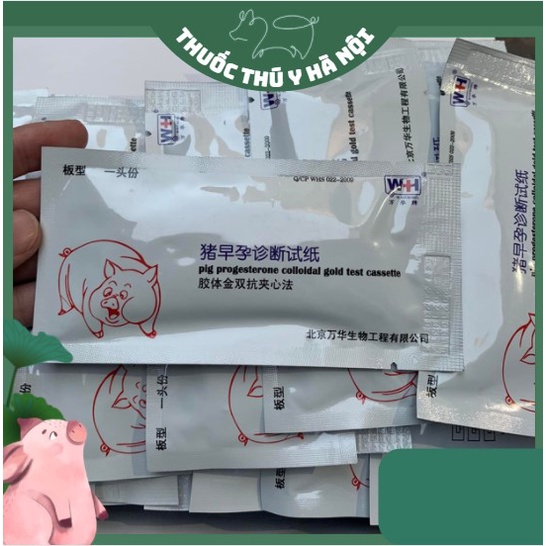 Que Thử Thai Cho Lợn, Độ Chính Xác Cao 90%  Hàng Chuẩn Công Ty