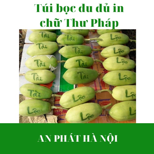 (Giá rẻ nhất) Combo 10-20-50 Túi bọc đu đủ in chữ Thư Pháp: Tài, Lộc, Phúc, Thọ, Phát - Túi dày dặn chữ sắc nét, quả đẹp