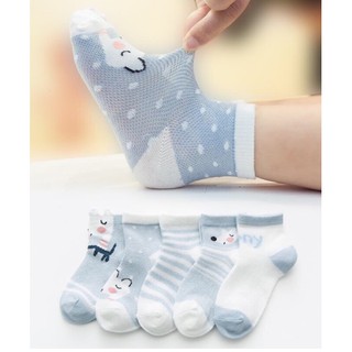 Combo 10 Sét 5 đôi tất lưới thu mẫu mới