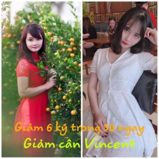 Thảo mộc giảm cân Vincent an toàn hiệu quả