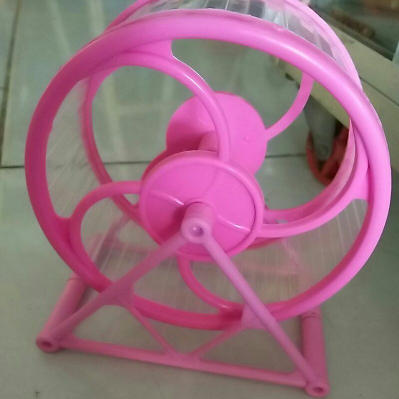 whell chạy cho hamster