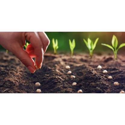 Đất thịt, đất đỏ Bazan Orgamix Plus bao 15kg