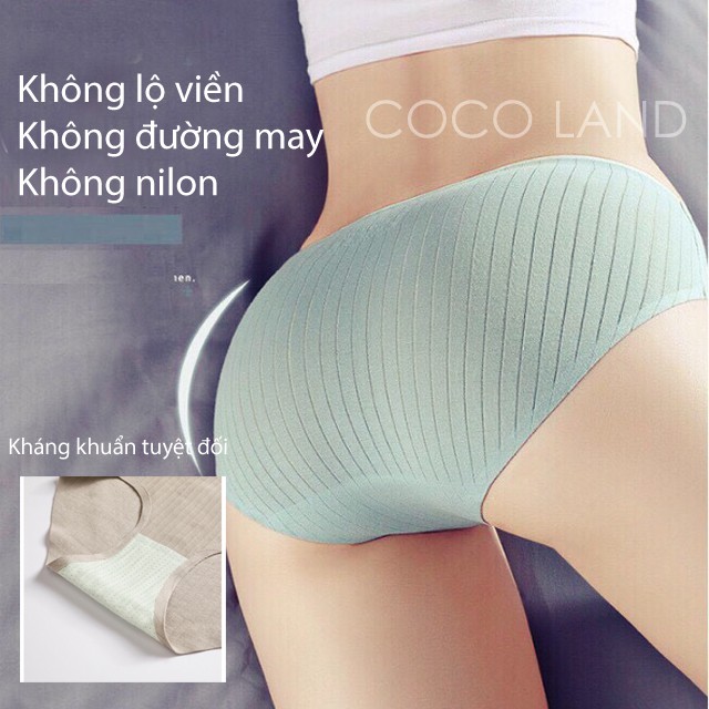 [SET 5 QUẦN ] Quần lót quần chíp nữ Cotton siêu đẹp -chíp tăm gân kháng khuẩn gợi cảm khuyến rũ - Quần chíp nữ Hàn Quốc | BigBuy360 - bigbuy360.vn