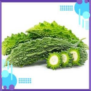 HẠT GIỐNG KHỔ QUA RỪNG