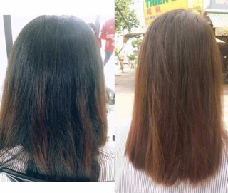 COMBO 6 HỘP - DẦU GỘI TÓC BẠC DEXE