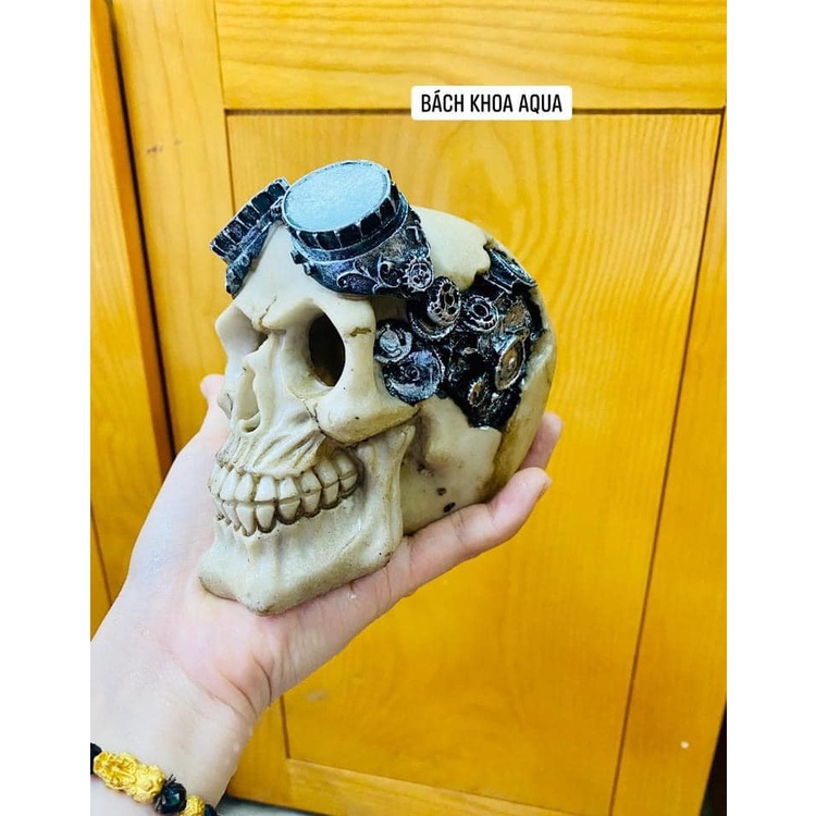 Đầu lâu đội mũ - đeo kính trang trí bể cá thủy sinh