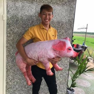 Heo con 3D cho bé, gối ôm con heo