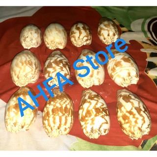 Vỏ batik Bnip Cho Bộ Sưu Tập