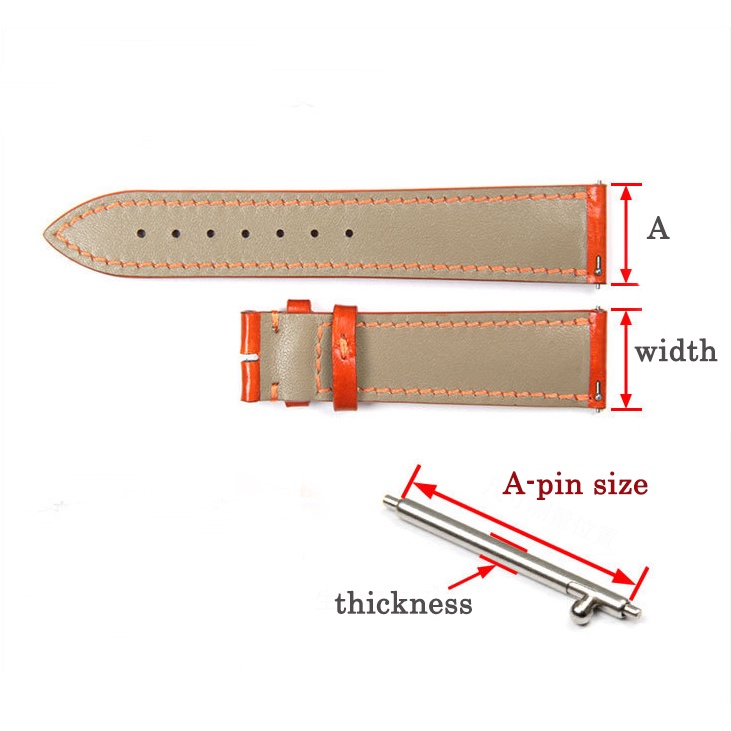 Set 20 Chốt Đồng Hồ Bằng Inox Đường Kính 1.5mm 1.8mm Chuyên Dụng Cho 12 / 13 / 14 / 15 / 16 / 17 / 18 / 19 / 20 / 22 / 23 / 24mm