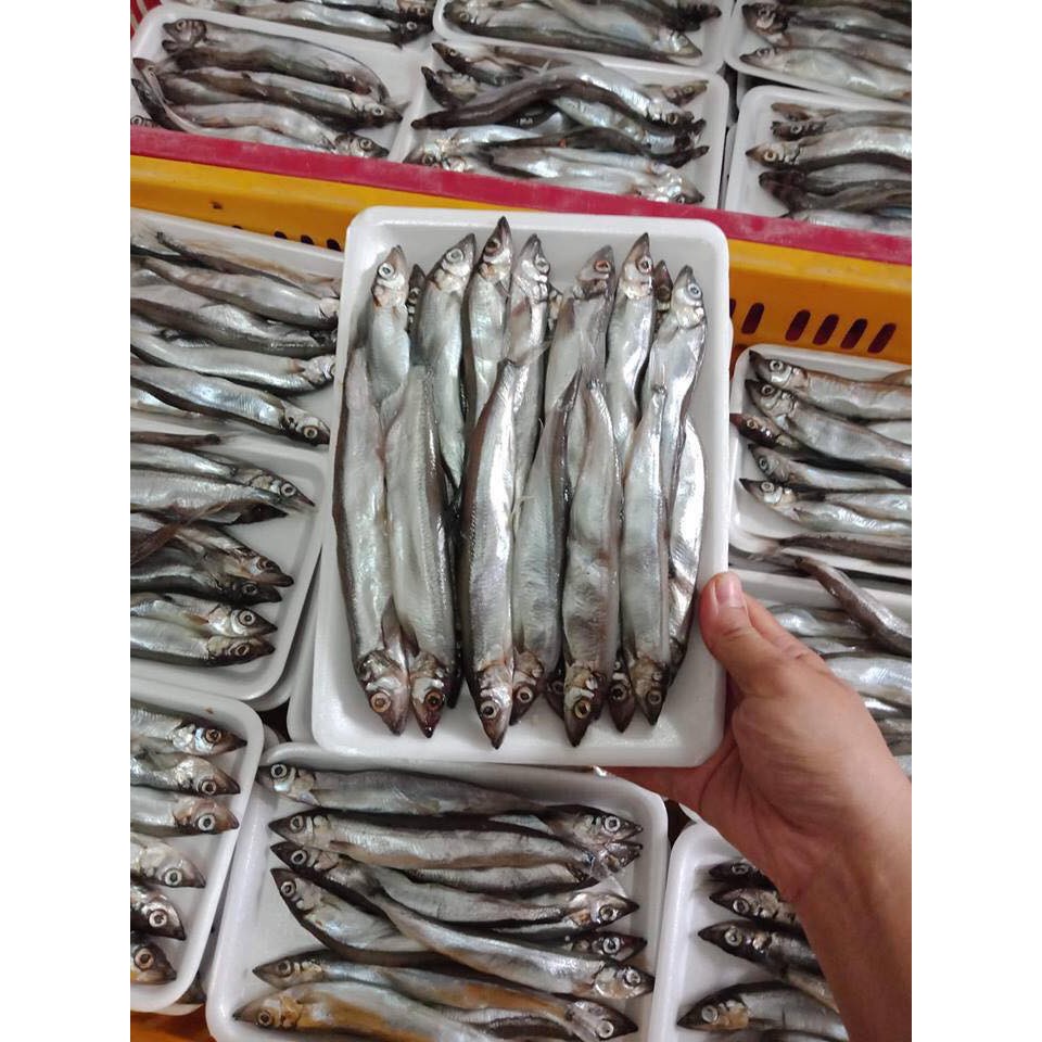 Khay 500g Cá Trứng nauy ngon, béo chiên, nướng,...