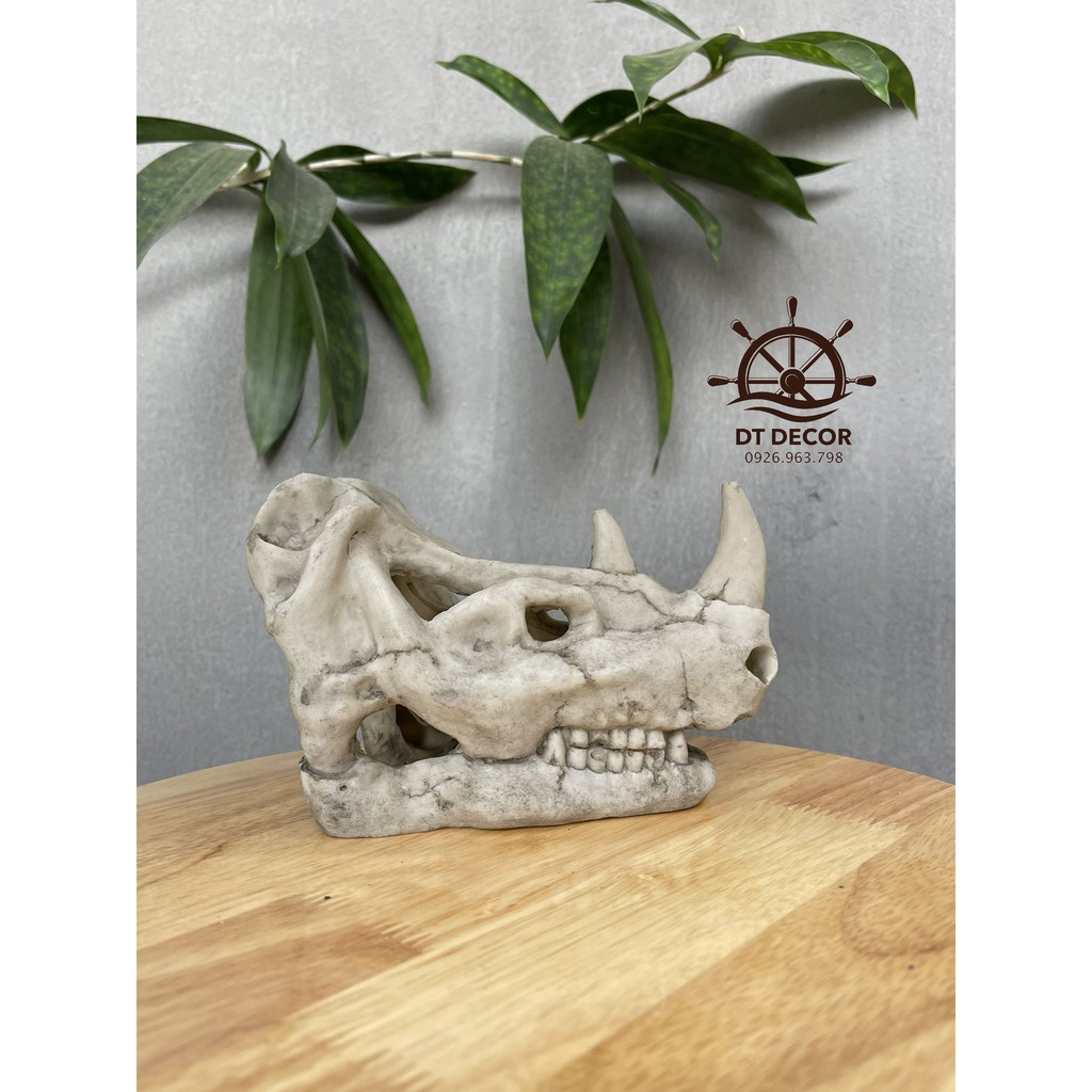 Đầu lâu Tê Giác