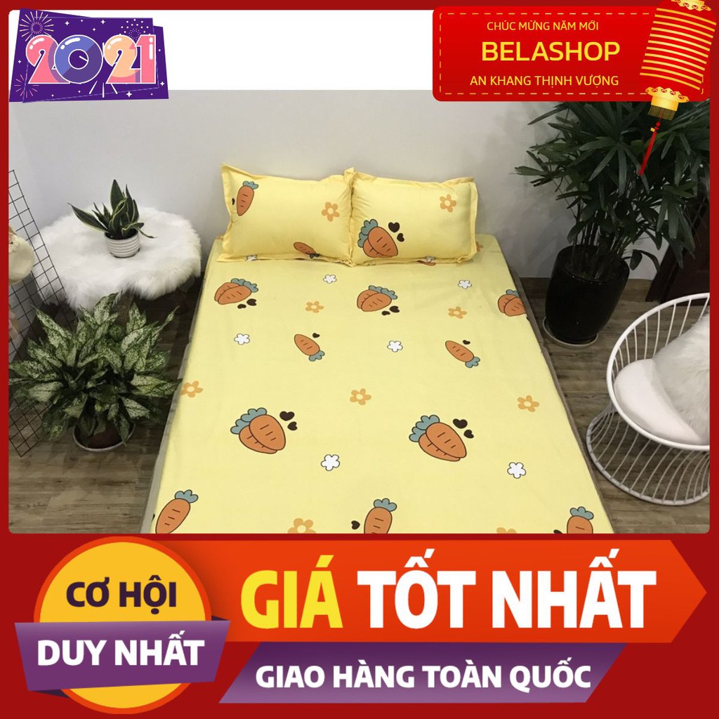 [Free ship-Xả kho cắt lỗ]Ga chống thấm cotton loại 1 cao cấp .được chọn mẫu,Mã hàng CT1375