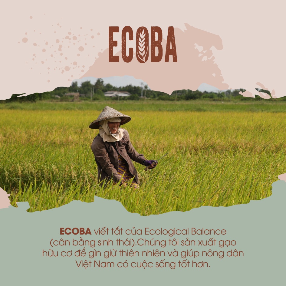 Gạo lứt nâu giảm cân 100% hữu cơ - ECOBA Kim Mễ 1kg - Cơm ngon mềm dẻo - Chứng nhận hữu cơ quốc tế in trên hộp