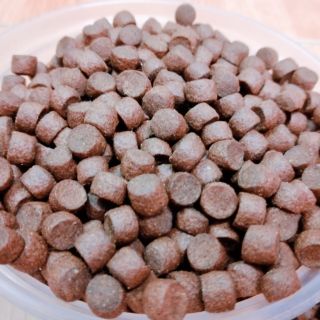 100g Thịt bò sấy ngon cho Hamster-Rat-Đuôi Mập
