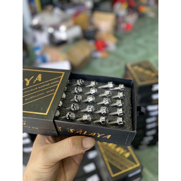 Ốc máy Salaya S03 S08 Các Loại Xe Chính hãng