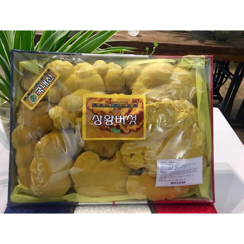 [HÀNG MỚI VỀ] Nấm Thượng Hoàng Hàn Quốc Khay 500gr