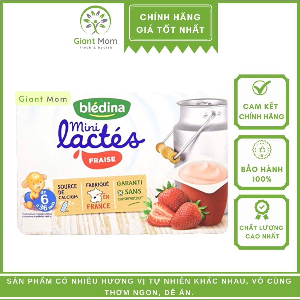 Sữa chua Bledina Pháp Giantmom - Sữa chua nguội Bledina Pháp vỉ 6 hộpx55g - Date xa
