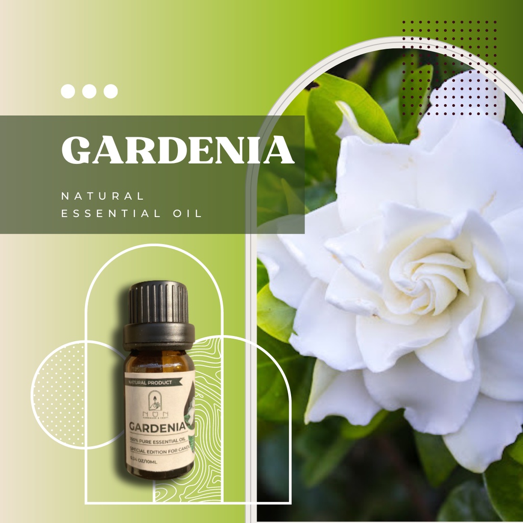 Tinh Dầu GARDENIA  Thiên Nhiên Nguyên Chất Tạo Mùi Hương Chuyên Dụng Làm Nến Thơm DIY
