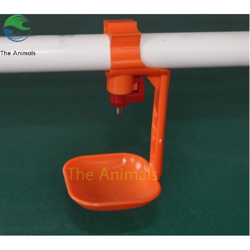 Máng uống nước tự động cho gà, chim cút, vịt nuôi công nghiệp