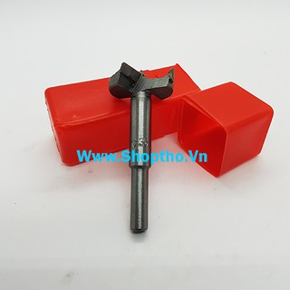 Mũi khoét gỗ dạng múi khế D22