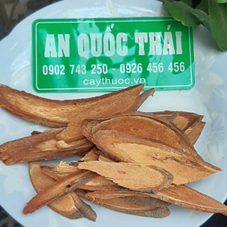 Cây Cỏ Máu 500g Bổ Huyết, Tăng Cân Tự Nhiên, Đẹp Da, Hàng Loại 1