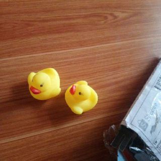 Vịt con kêu chút chút đáng yêu