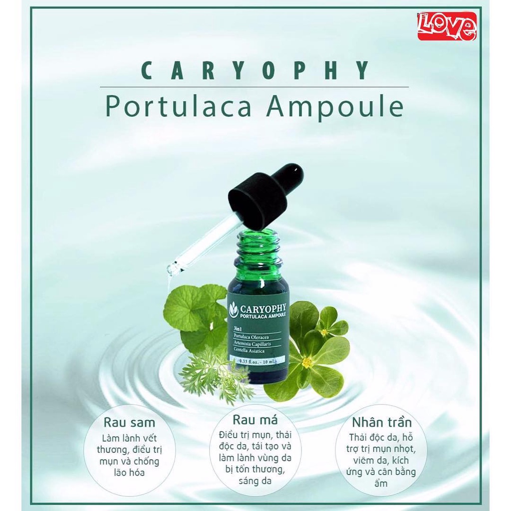 Serum giảm thâm mụn CARYOPHY PORTULACA AMPOULE