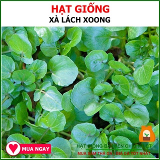 [Giống Mỹ] Hạt Giống Xà Lách Xoong 1 Gram