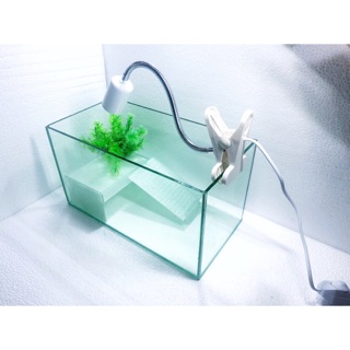 Set bể và phụ kiện nuôi rùa ( máng leo, kẹp đèn, lọc đứng)