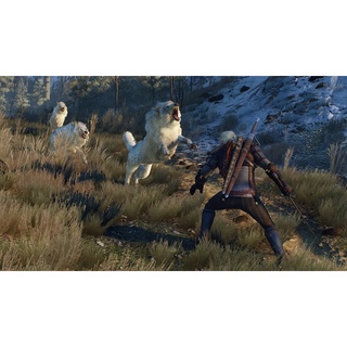 Đĩa chơi game PS4: The Witcher 3 Complete Edition