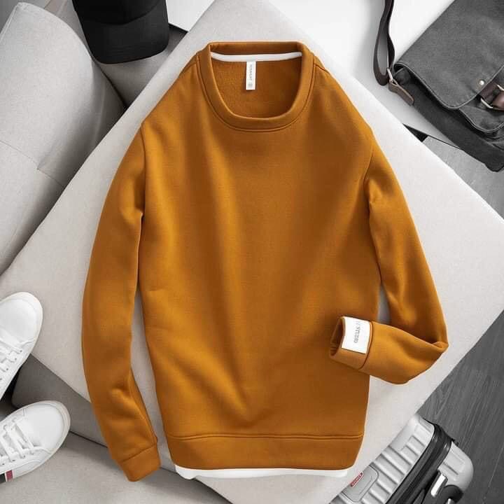 Áo nỉ nam hot hit đồ thu đông 2021 phong cách hàn quốc | BigBuy360 - bigbuy360.vn