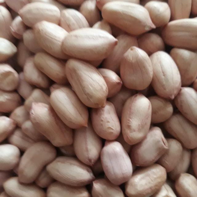 Đậu phộng Nghệ An