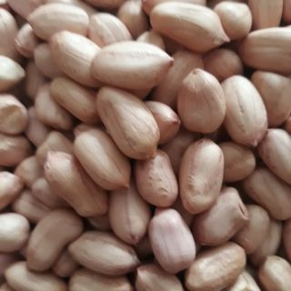Đậu phộng Nghệ An