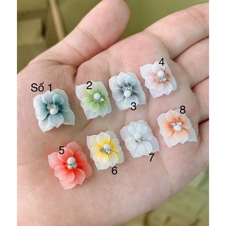 Hoa bột gắn móng chân