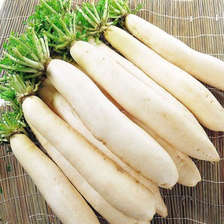 HẠT GIỐNG CỦ CẢI ĐƯỜNG