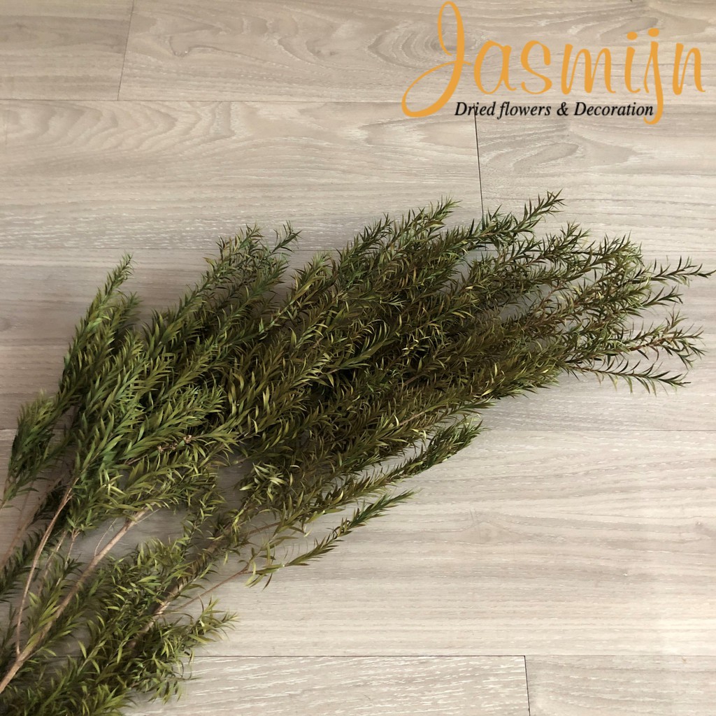 Lá hoàng kim khô nhiều màu